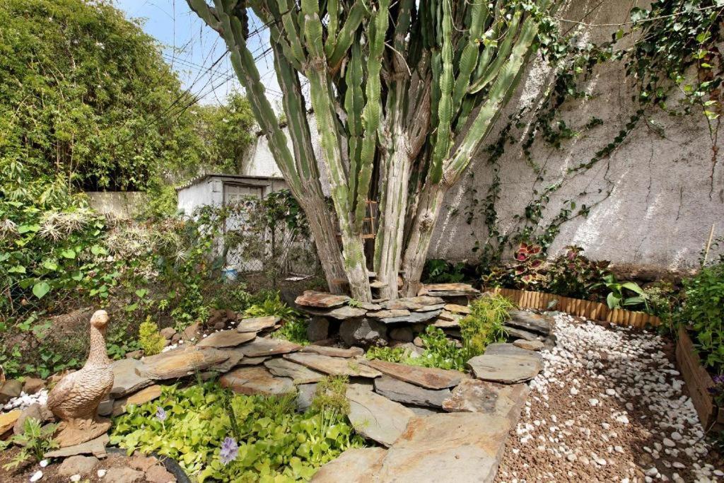 Casa Con Jardin Villa Tacoronte Kültér fotó
